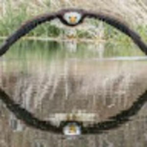 Meet your Posher, Lucas